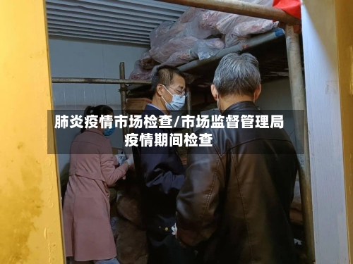 肺炎疫情市场检查/市场监督管理局疫情期间检查
