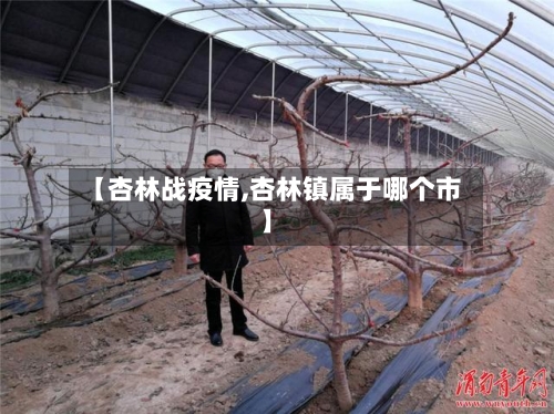 【杏林战疫情,杏林镇属于哪个市】-第2张图片