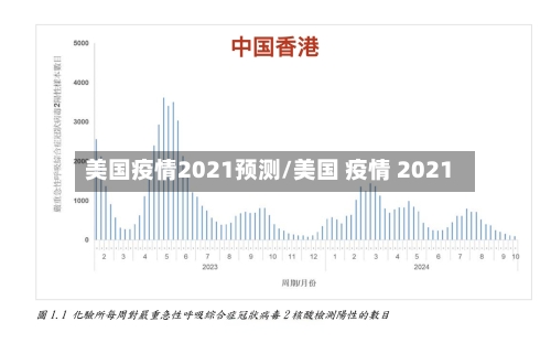 美国疫情2021预测/美国 疫情 2021