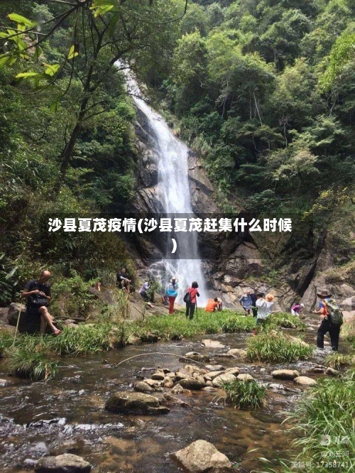 沙县夏茂疫情(沙县夏茂赶集什么时候)-第2张图片