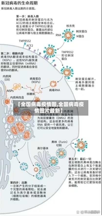 【全国病毒疫情图,全国病毒疫情图片最新】