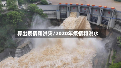 算出疫情和洪灾/2020年疫情和洪水