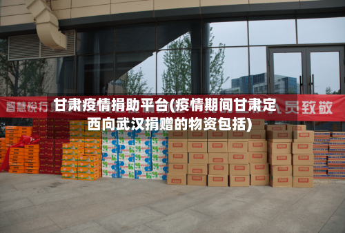 甘肃疫情捐助平台(疫情期间甘肃定西向武汉捐赠的物资包括)-第2张图片