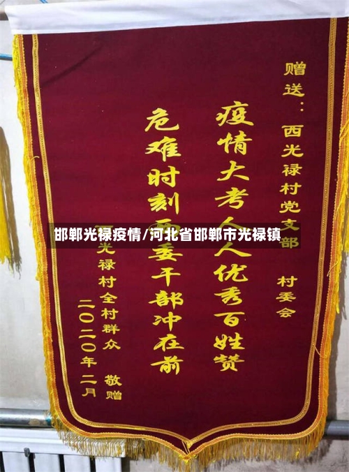 邯郸光禄疫情/河北省邯郸市光禄镇-第3张图片