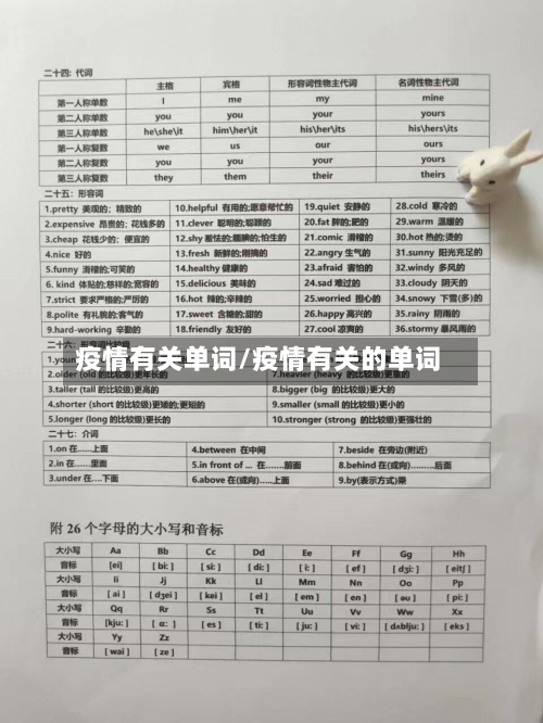 疫情有关单词/疫情有关的单词