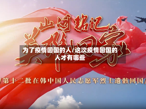 为了疫情回国的人/这次疫情回国的人才有哪些-第3张图片