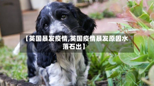 【英国暴发疫情,英国疫情暴发原因水落石出】-第2张图片