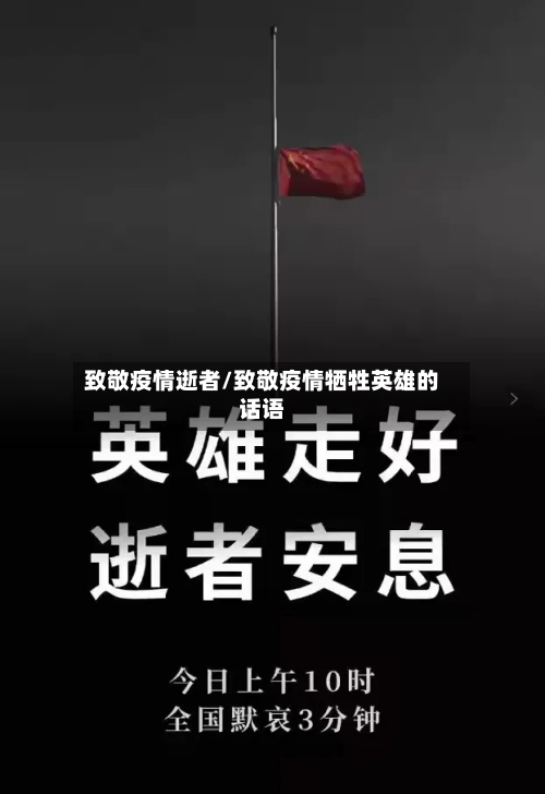 致敬疫情逝者/致敬疫情牺牲英雄的话语-第2张图片