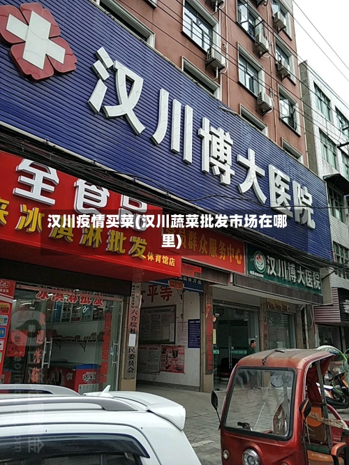 汉川疫情买菜(汉川蔬菜批发市场在哪里)-第2张图片