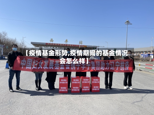 【疫情基金形势,疫情期间的基金情况会怎么样】-第2张图片