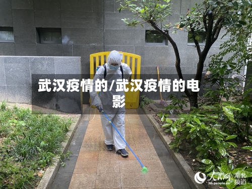 武汉疫情的/武汉疫情的电影-第2张图片