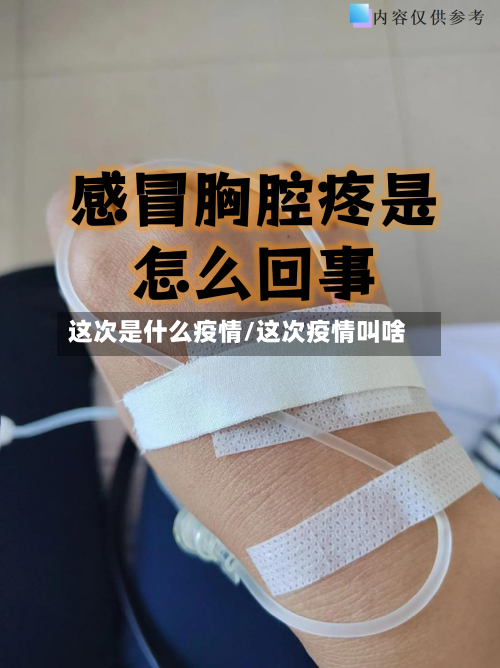 这次是什么疫情/这次疫情叫啥