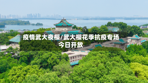 疫情武大夜樱/武大樱花季抗疫专场今日开放-第3张图片