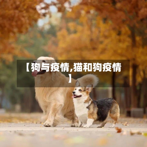 【狗与疫情,猫和狗疫情】