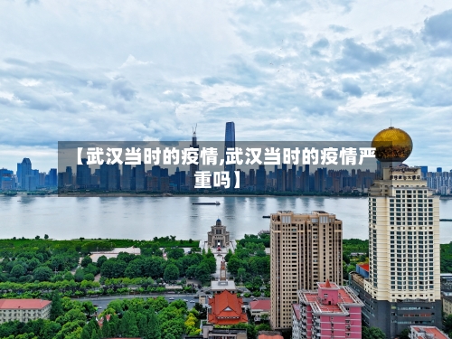 【武汉当时的疫情,武汉当时的疫情严重吗】-第2张图片