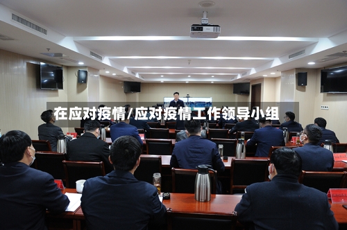 在应对疫情/应对疫情工作领导小组-第2张图片