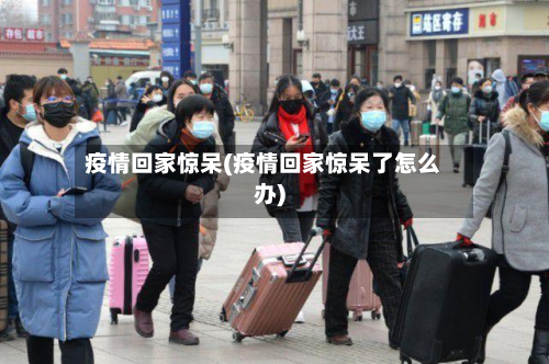 疫情回家惊呆(疫情回家惊呆了怎么办)-第2张图片