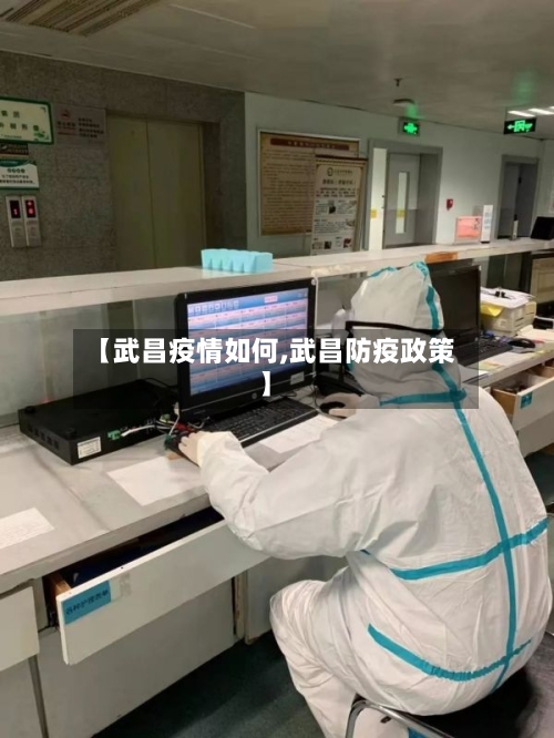 【武昌疫情如何,武昌防疫政策】-第2张图片