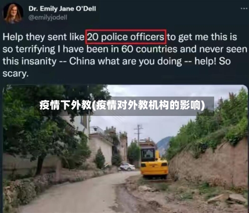 疫情下外教(疫情对外教机构的影响)