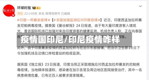 疫情国印尼/印尼疫情咋样