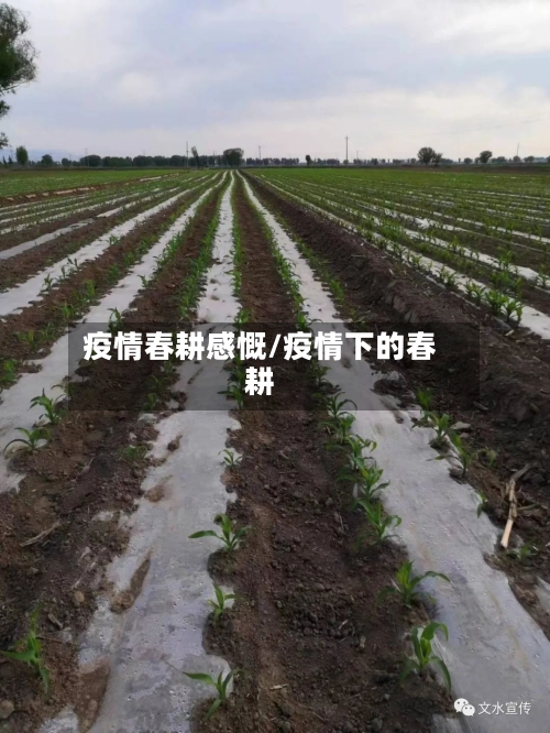 疫情春耕感慨/疫情下的春耕-第2张图片