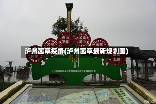 泸州茜草疫情(泸州茜草最新规划图)-第3张图片