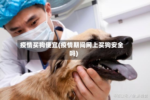 疫情买狗便宜(疫情期间网上买狗安全吗)