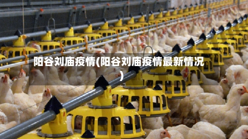 阳谷刘庙疫情(阳谷刘庙疫情最新情况)-第2张图片