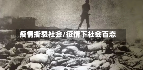 疫情撕裂社会/疫情下社会百态-第2张图片