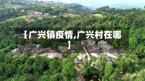 【广兴镇疫情,广兴村在哪】
