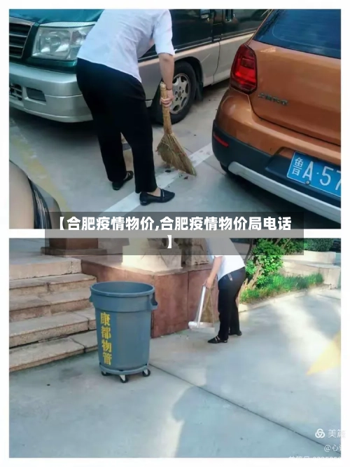 【合肥疫情物价,合肥疫情物价局电话】-第2张图片