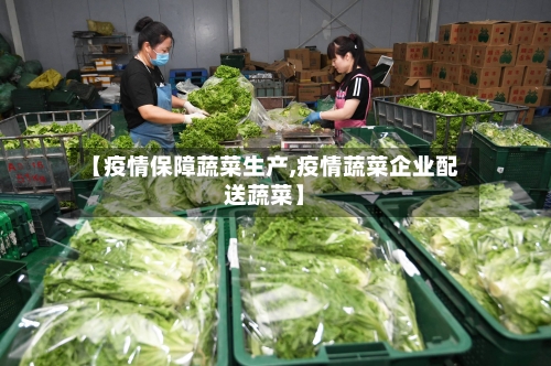 【疫情保障蔬菜生产,疫情蔬菜企业配送蔬菜】-第3张图片