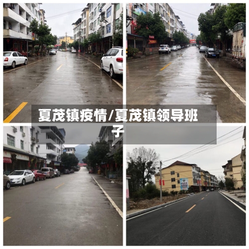 夏茂镇疫情/夏茂镇领导班子-第3张图片