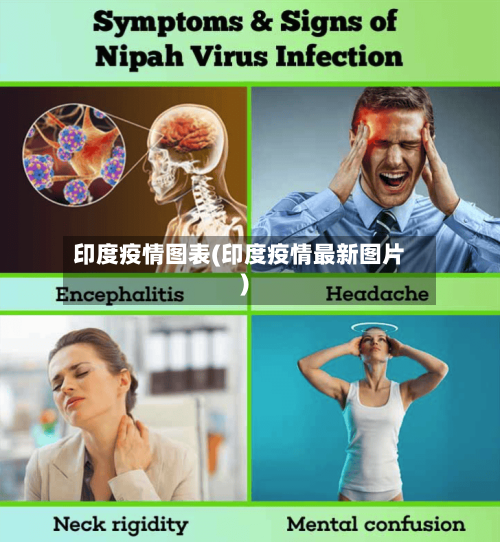 印度疫情图表(印度疫情最新图片)