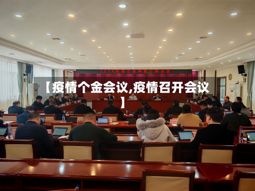 【疫情个金会议,疫情召开会议】-第2张图片