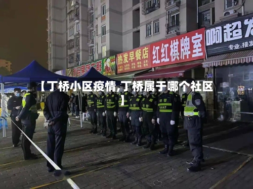 【丁桥小区疫情,丁桥属于哪个社区】-第2张图片