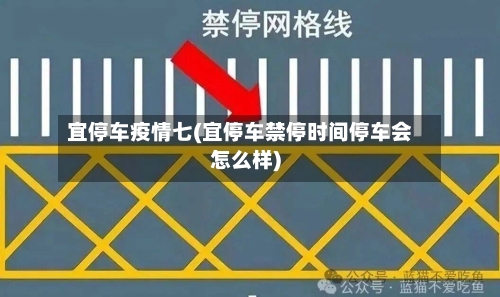 宜停车疫情七(宜停车禁停时间停车会怎么样)-第2张图片