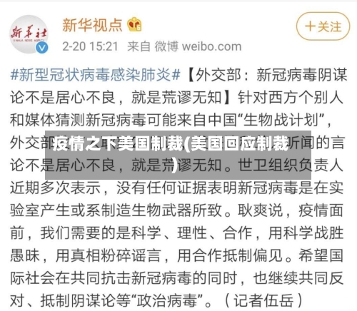 疫情之下美国制裁(美国回应制裁)-第2张图片