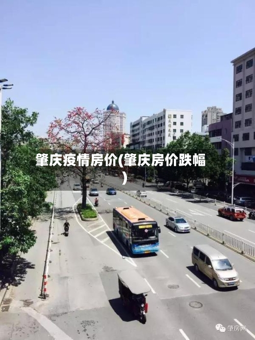 肇庆疫情房价(肇庆房价跌幅)