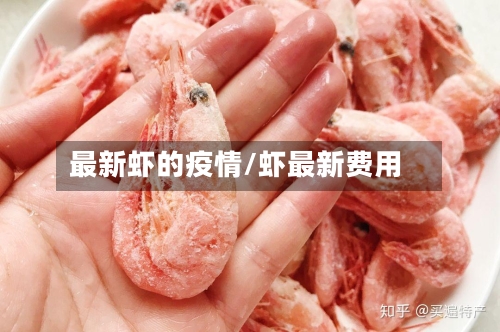 最新虾的疫情/虾最新费用