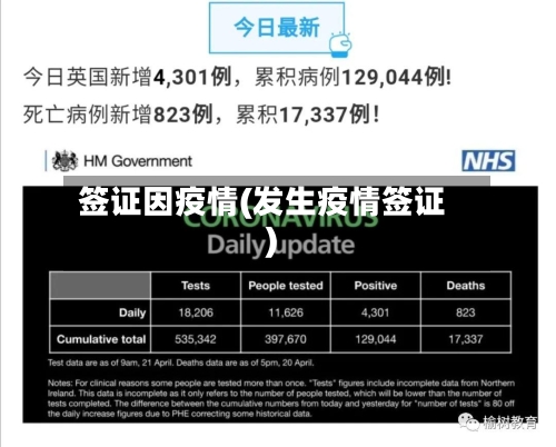 签证因疫情(发生疫情签证)-第3张图片