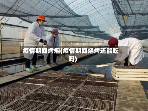 疫情期间烤烟(疫情期间烧烤还能吃吗)-第2张图片