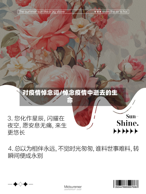 对疫情悼念词/悼念疫情中逝去的生命-第2张图片