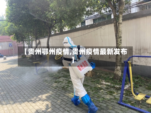 【贵州鄂州疫情,贵州疫情最新发布】-第3张图片