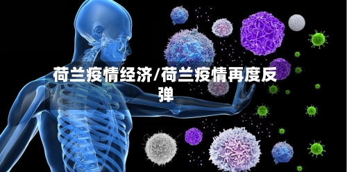 荷兰疫情经济/荷兰疫情再度反弹-第3张图片