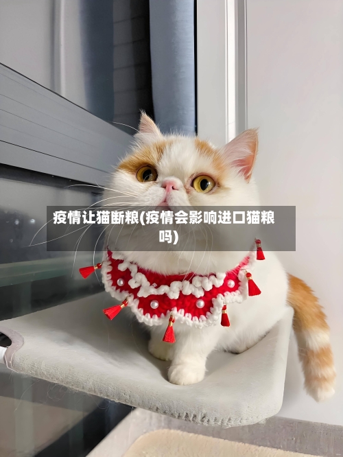 疫情让猫断粮(疫情会影响进口猫粮吗)-第2张图片