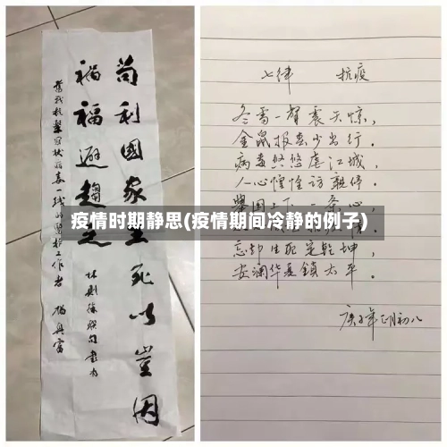 疫情时期静思(疫情期间冷静的例子)-第3张图片