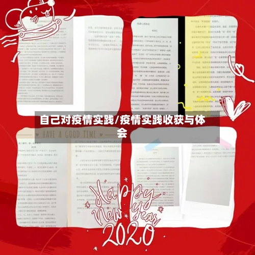自己对疫情实践/疫情实践收获与体会