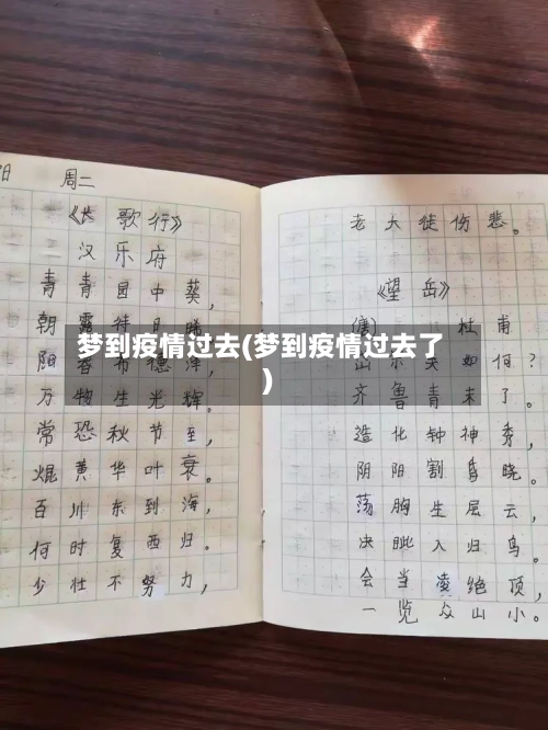 梦到疫情过去(梦到疫情过去了)-第2张图片