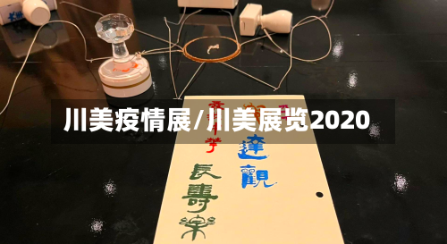 川美疫情展/川美展览2020